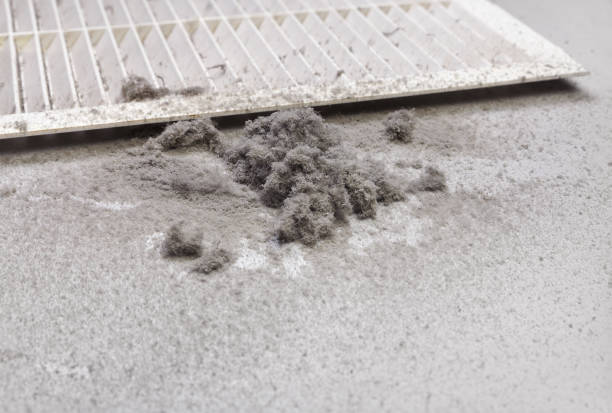 Best Affordable Duct Cleaning Services  in Burt, MI