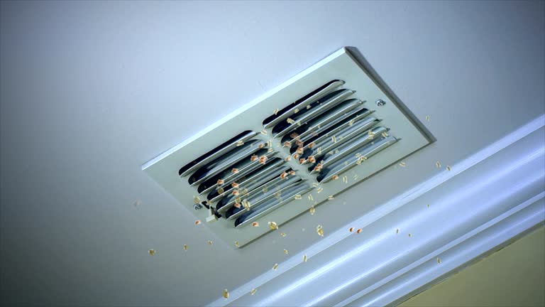 Best Local Air Duct Cleaning Services  in Burt, MI