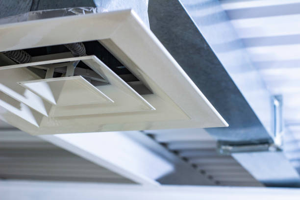 Best Air Duct Sanitizing Services  in Burt, MI