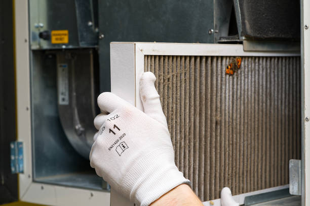 Best Air Duct Cleaning Near Me  in Burt, MI